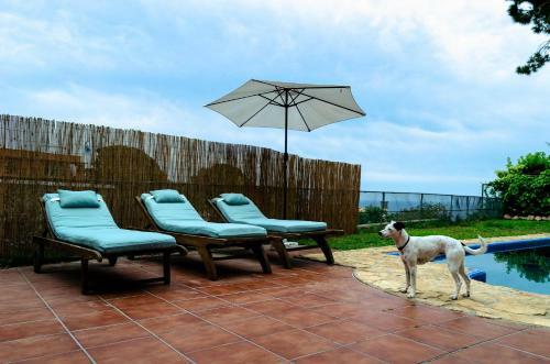 Villa El Riu Del Cel
