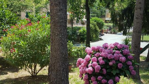 Hotel La Pineta