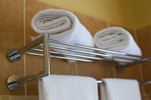 Hotel Karl?tejn & Spa