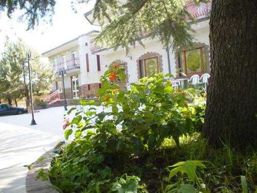 Hotel Del Lago