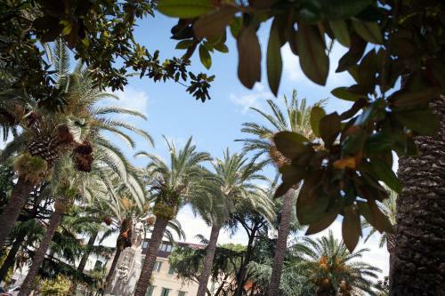 Bed & Breakfast Domus Socolatae