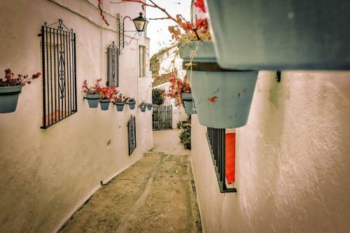Apartamento Acogedor, Tranquilo, Luminoso, Jard�n Privado