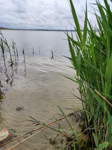 Laguna Zasta?