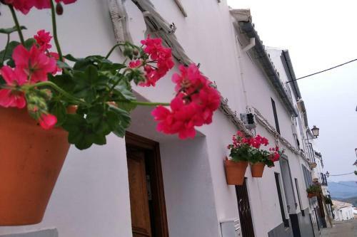 Nueva Casa Luminosa En Olvera Centro !