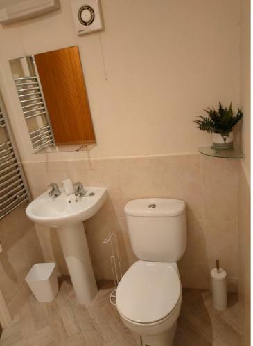 Beautiful Cozy 3 Bedroom 2 Bathroom Apartment