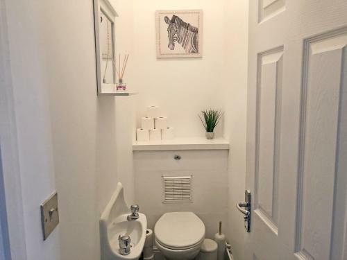 Apartamento Spacious & Contractors & Free Parking & Central Location