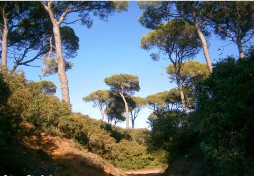 Adosado En Puerto Real Junto Paraje Natural