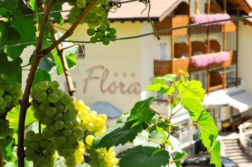 Hotel Pension Flora