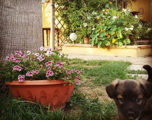 B&B Dal Pozzo