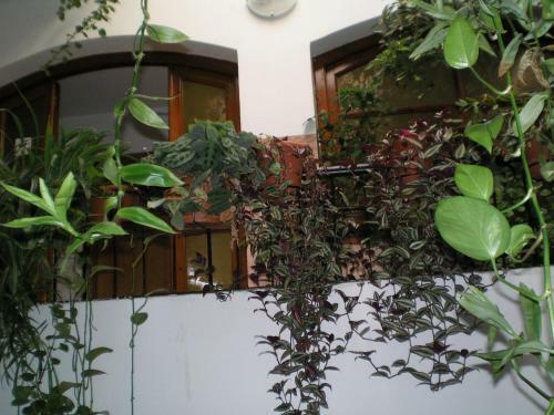 Hostal Maurin