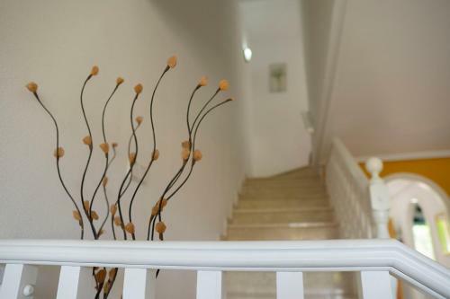Casa Campoamor