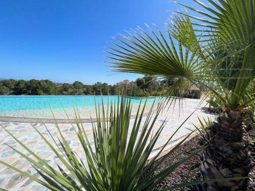 New Luxury Apartment In Las Colinas With Communal Pool Lc2