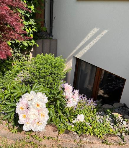 Apartment Near Europa-park & Black Forest