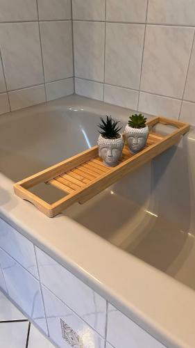 Apartment Near Europa-park & Black Forest