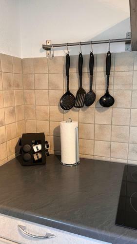 Apartment Near Europa-park & Black Forest