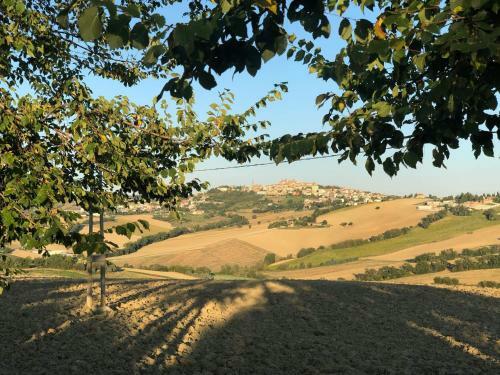 B&B I Pini Di Storaco