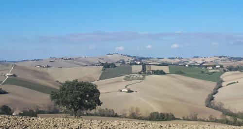 B&B I Pini Di Storaco