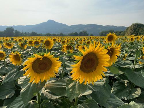 Agriturismo La Taverna