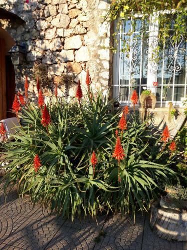 B&B Sopra Il Borgo