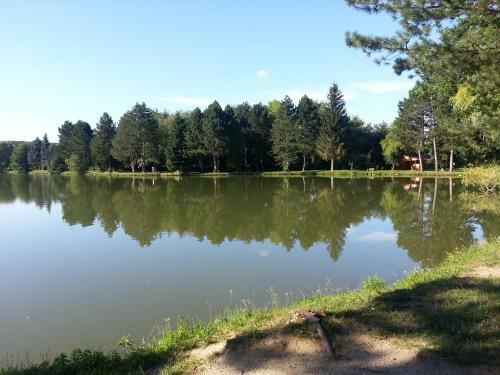 Apartamento Borosty�n Vend�gh�z
