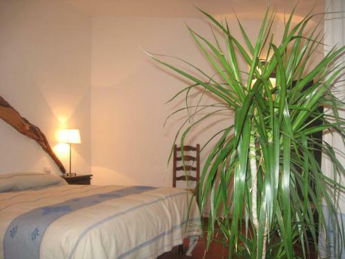 Bed & Breakfast Il Vecchio Ginepro