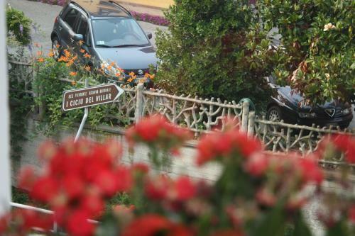 B&B Barucin