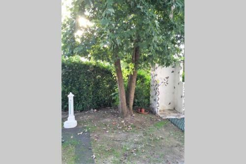 Villa Magnolia