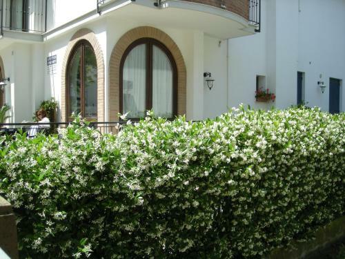 Aparthotel Ilios Residence