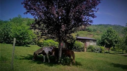 La Fr�gi�re Chalets