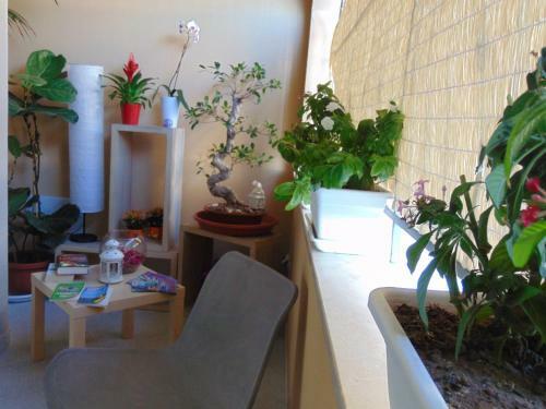Apartamento Residence Le Isole