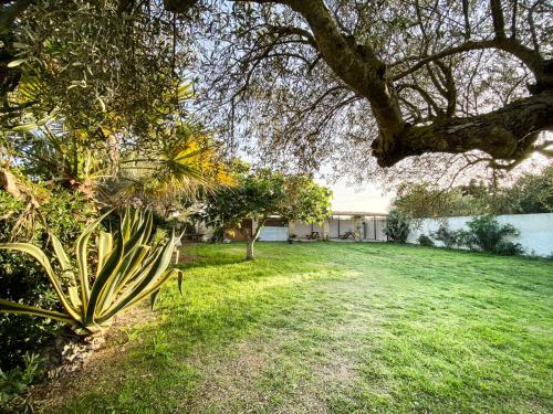 Agroturismo The Place