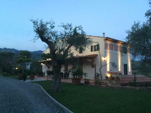 Apartamento Casale Olea