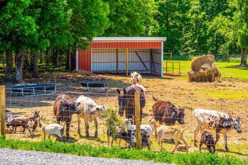Almost Heaven Farmers Paradise On 50 Acres!