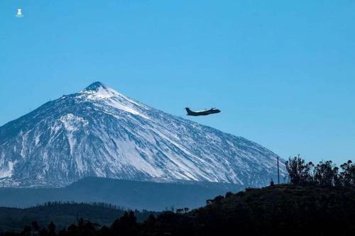Apartamento Edificio Don Antonio