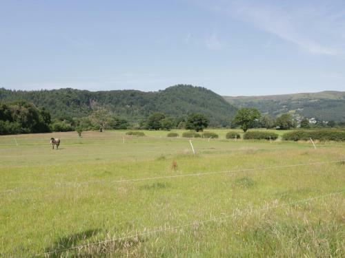 Apartamentos The Bar Suite