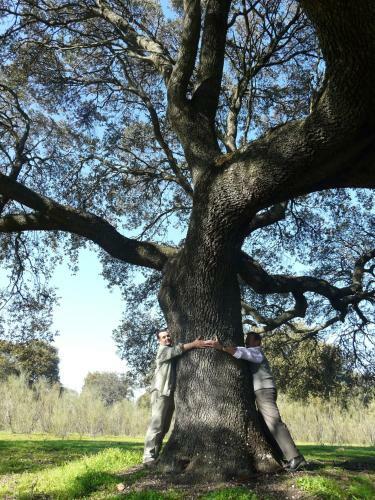 Agroturismo Posada De Amonaria