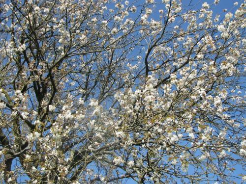 Hostal Les Charmes Du Petit Pr�