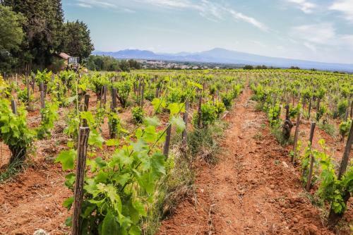 Bed & Breakfast Chambres D'h�tes - Domaine de Cristia