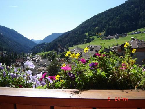Hotel Stella Alpina