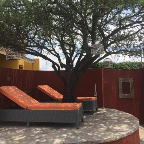 View Hotel Boutique