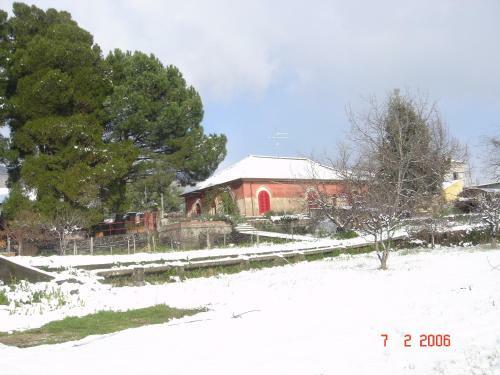 B&B Sotto I Pini
