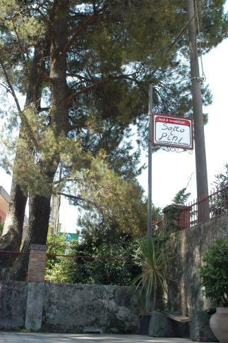 B&B Sotto I Pini