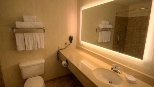 Hotel Holiday Inn Express & Suites Sioux Center
