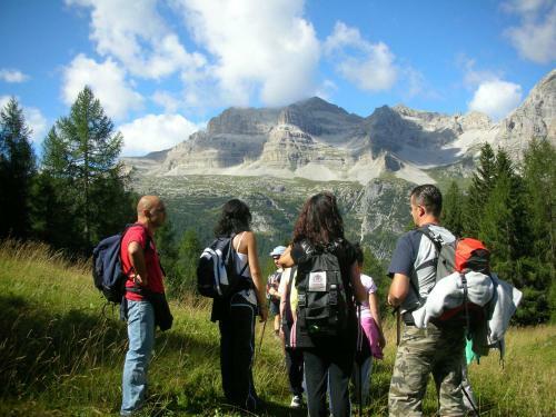 Hotel Alpotel Dolomiten