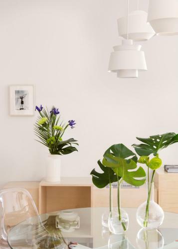Apartamento Halcyon Days