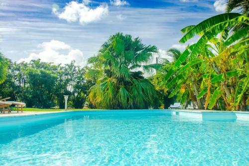 Mora Mora, Villa Cr�ole Avec Piscine & Jardin