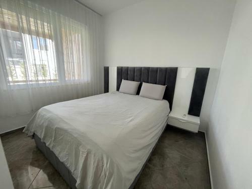 Loving 2- Bedrooms Vacation Home With Free Parking