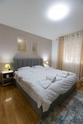 Light-2 Apartment In Tirana City Center