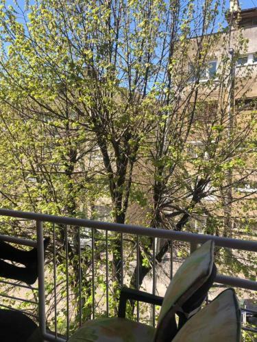 Apartman M&s