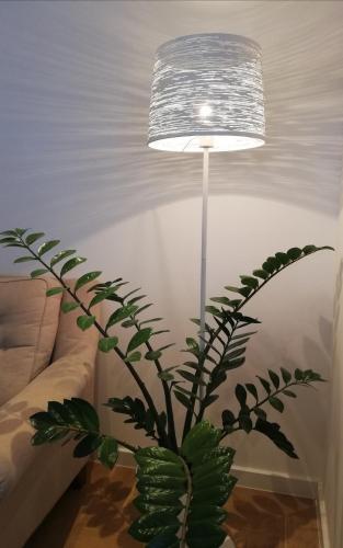 Apartman Divna Trebinje 2